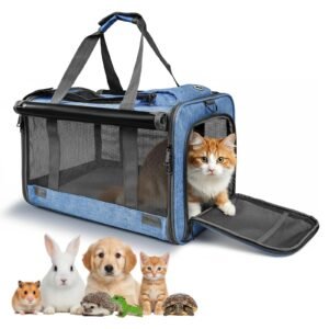 Soft Day Carrier 5, product photograph