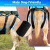 Soft Walk Harness, product photograph