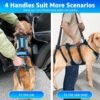 Soft Walk Harness, product photograph