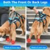 Soft Walk Harness, product photograph