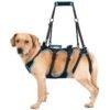 Soft Walk Harness, product photograph