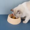 Trail Bowl, product photograph